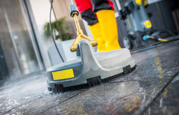 Best Pressure Washing Company Near Me  in Shell Rock, IA