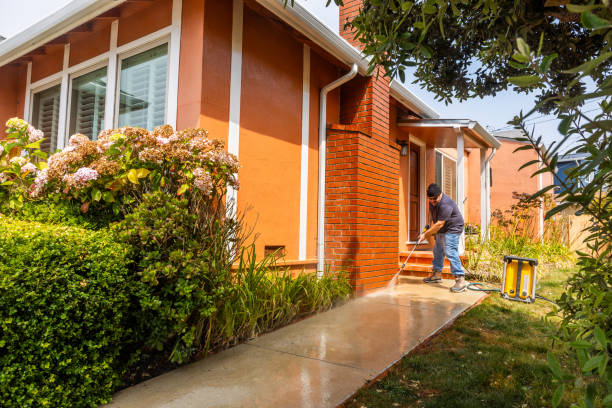 Best Local Pressure Washing Services  in Shell Rock, IA
