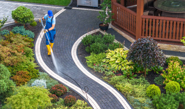 Best Best Pressure Washing Companies  in Shell Rock, IA